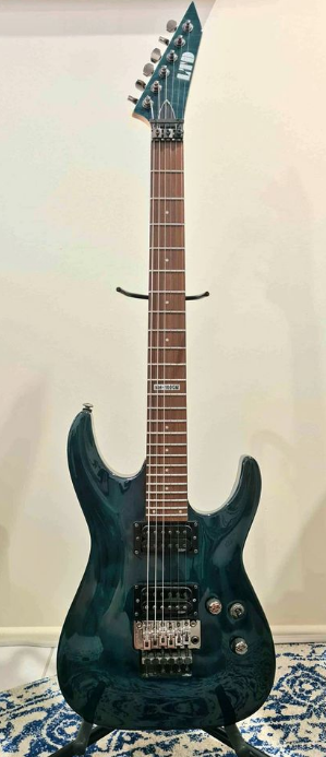 ESP LTD Guitar