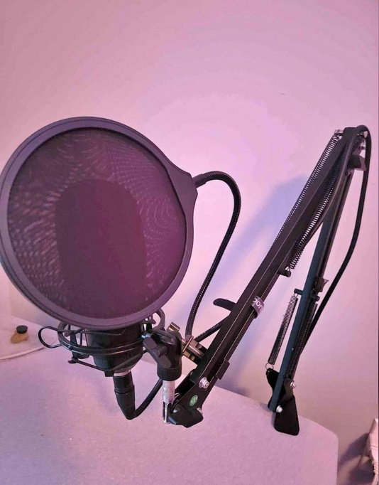 Condenser Microphone