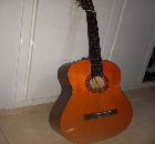 Meg guitar with yamaha bag