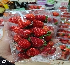 STRAWBERRY ON PACKED