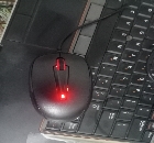 Mouse for sale